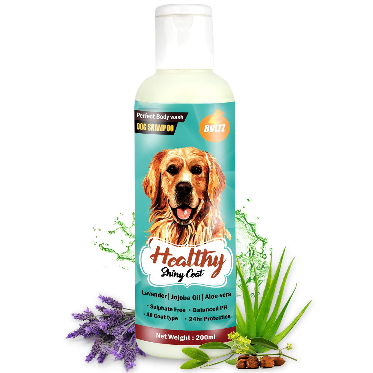10 Best Dog Shampoos in India 2023 (Himalaya, Wahl, and more) mybest