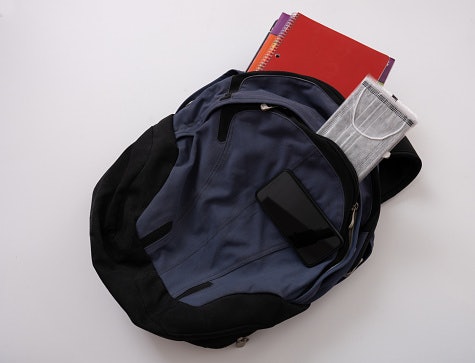 Daypacks, Laptop Bag, or Rucksacks - Your Call