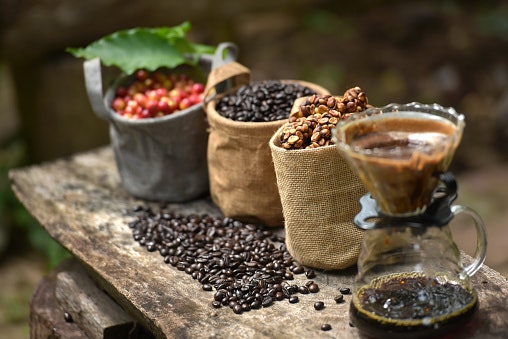 Choose Between Arabica or Robusta Coffee
