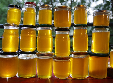 Check if the Honey Is Unprocessed, Unfiltered, and Unpasteurized