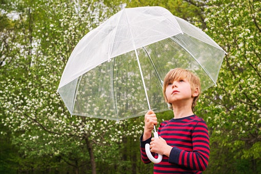 Bubble Umbrellas Provide Maximum Protection From Rain and Wind