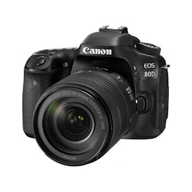 10 Best DSLRs for Beginners in India 2021 (Canon, Sony, and more) 3