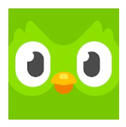 duolingo app download for pc