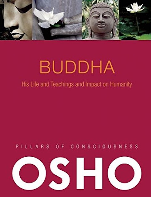 Osho Buddha (Pillars of Consciousness) 1