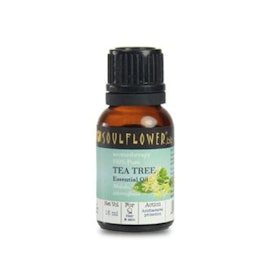 10 Best Tea Tree Oils in India 2021 (The Body Shop, Juicy Chemistry, and more) 4