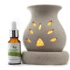 10 Best Aroma Diffusers in India 2021 (BreatheFresh, Decor Tribe, and more)